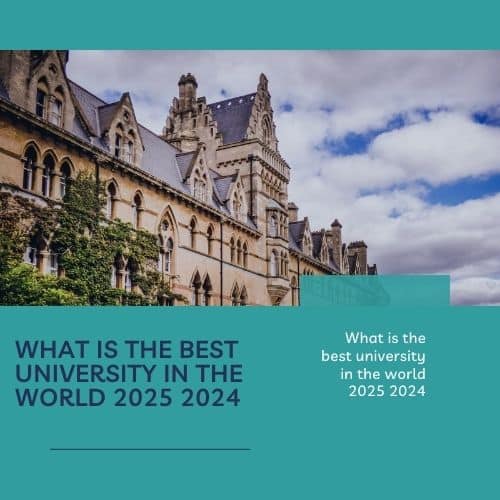 What is the best university in the world 2025 2024